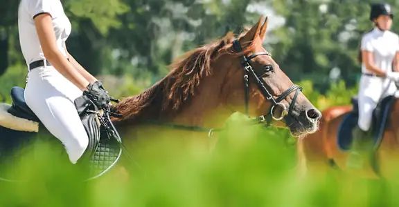 hybrid-private-tuition2